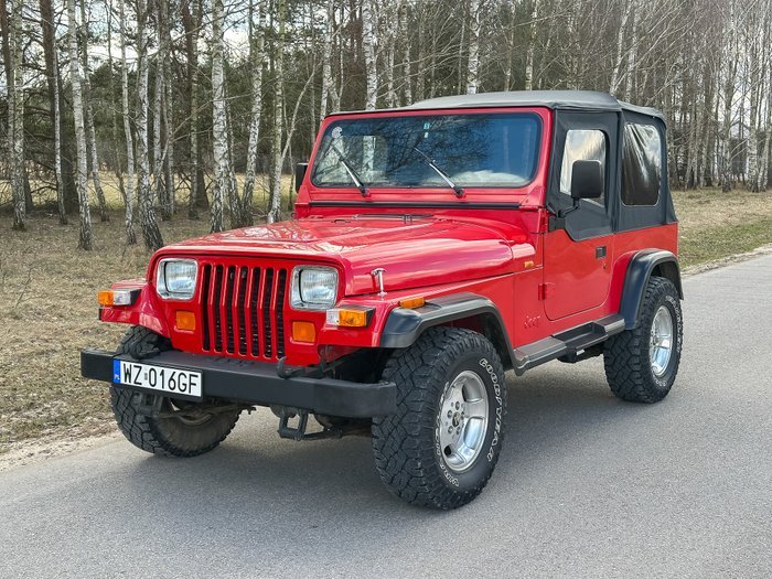 Jeep - Wrangler 4.0 - 1995 - Image 8